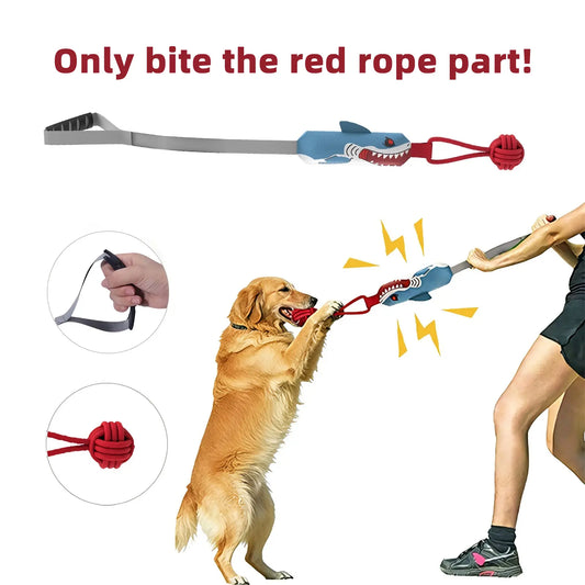 Interactive Dog Tug Toy for Bonding Play | Kin & Kibble