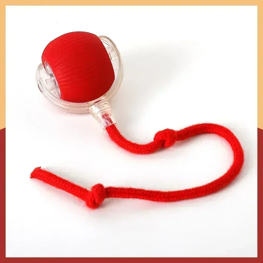 Interactive Dog Toy Ball for Enrichment | Kin & Kibble