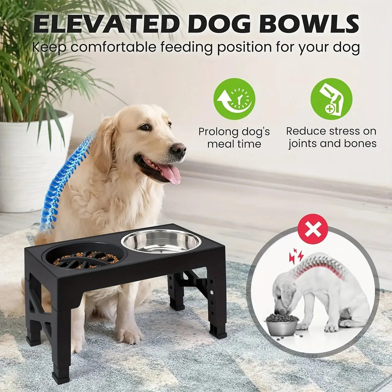 Elevated Dog Bowls with Adjustable Stand | Kin & Kibble