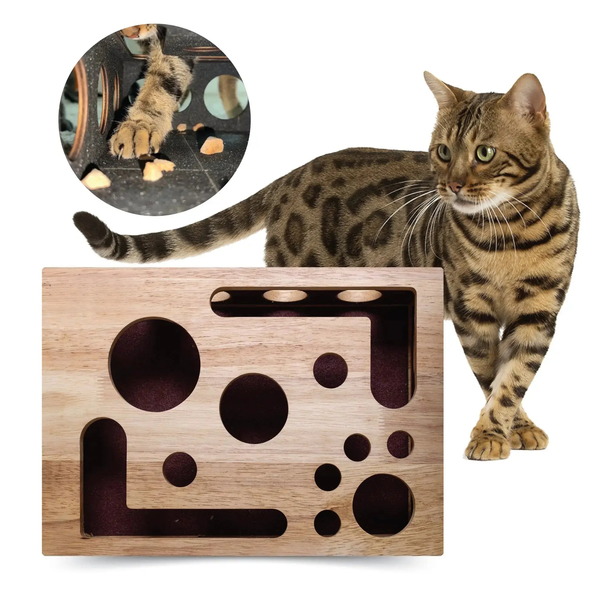 Transform Your Cat's Nail Care Routine with the Cat Nail File Scratch Enrichment Box - A Fun, Stress-Free Solution for Indoor Cats!