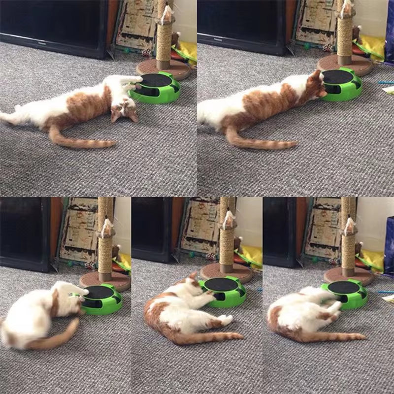 Interactive Cat Toy with Track Play | Kin & Kibble