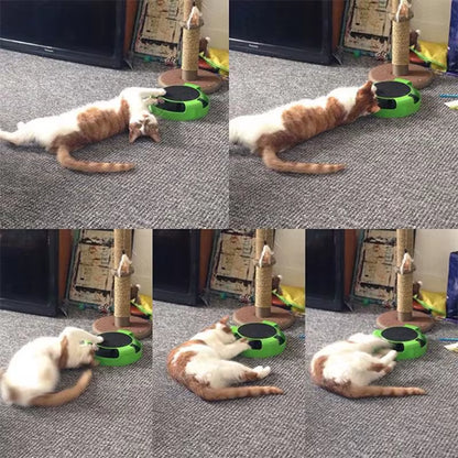 Interactive Cat Toy with Track Play | Kin & Kibble