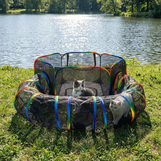 Cat Tent and Tunnel for Outdoor Play | Kin & Kibble