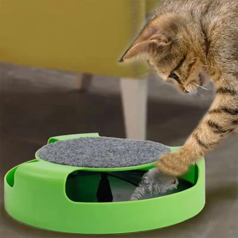 Interactive Cat Toy with Track Play | Kin & Kibble
